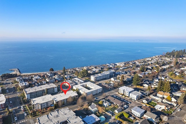 bird's eye view with a water view