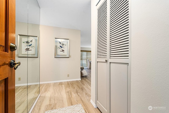 hall featuring light hardwood / wood-style flooring