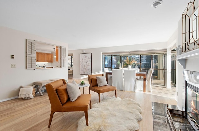 living room featuring light hardwood / wood-style flooring and a premium fireplace