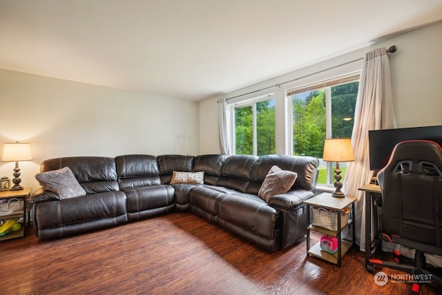 living room featuring dark wood-type flooring