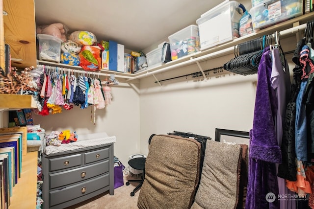 spacious closet featuring light carpet