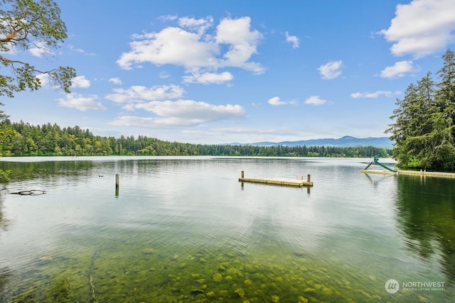 dock area with a water and mountain view