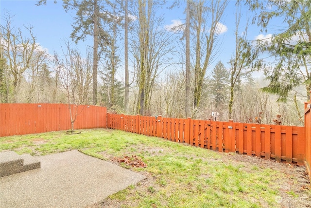 view of yard featuring a patio