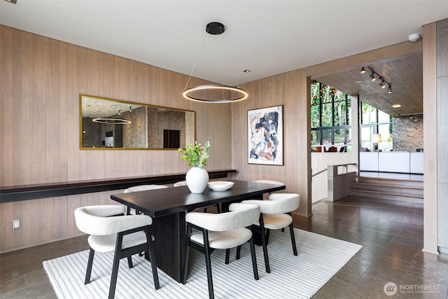 dining area with rail lighting and wooden walls