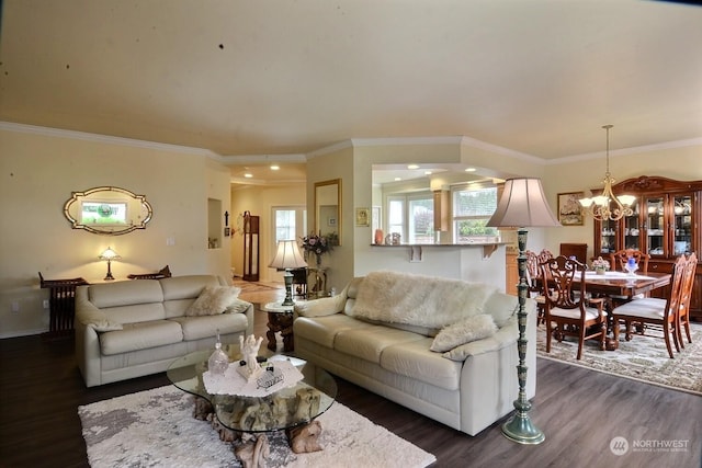 living room with dark hardwood / wood-style floors, crown molding, and an inviting chandelier