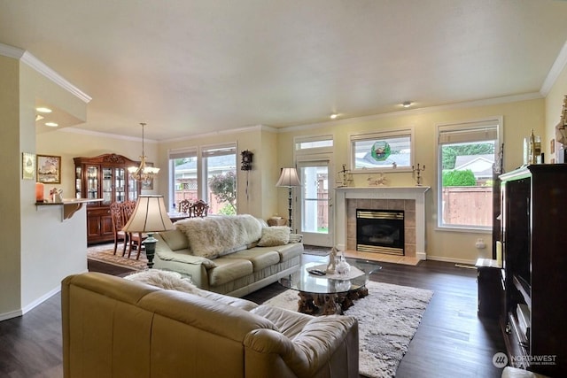 living room featuring a fireplace, a healthy amount of sunlight, a chandelier, and dark wood-type flooring