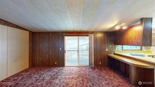 interior space featuring dark colored carpet, wooden walls, and sink