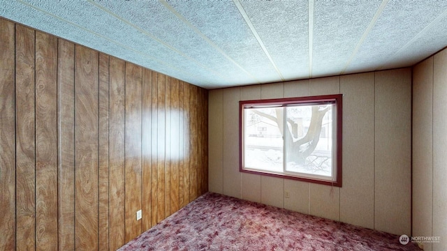 carpeted empty room with wooden walls