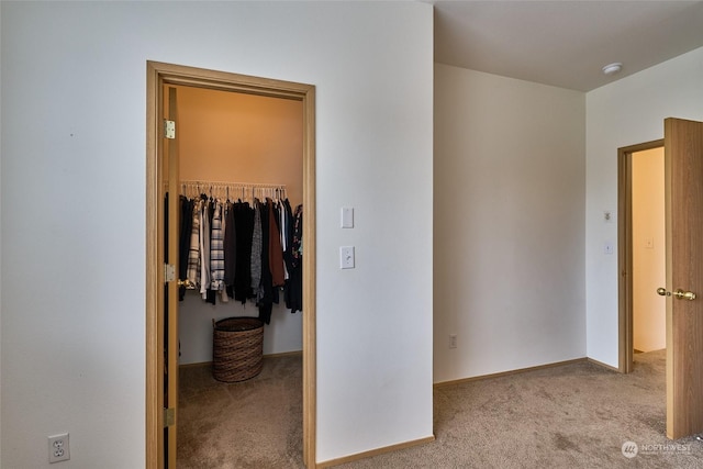 interior space with a spacious closet and a closet