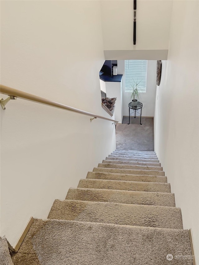 stairway featuring carpet