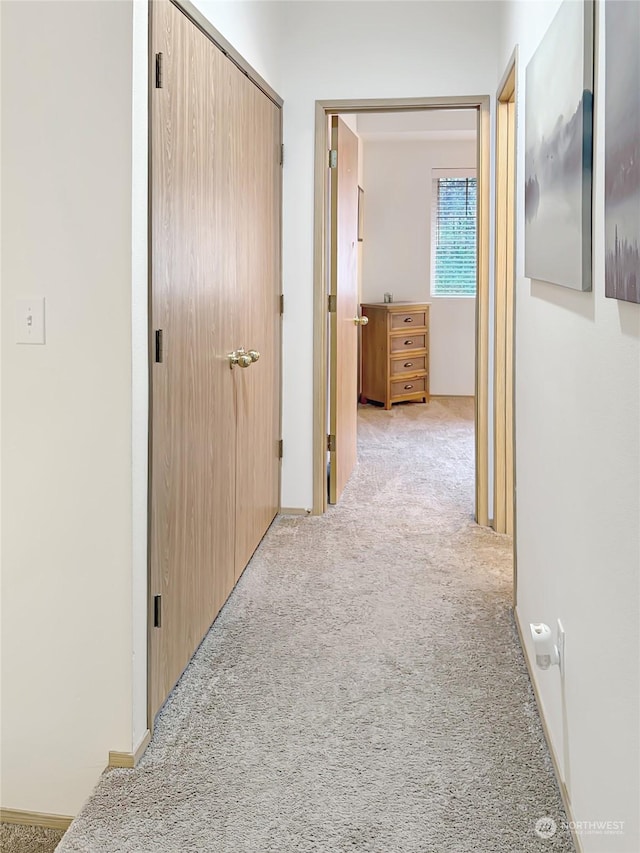 hallway with light carpet