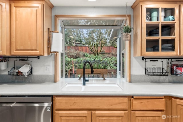 kitchen featuring sink and stainless steel dishwasher