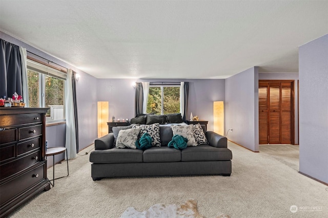 living room with light carpet, a textured ceiling, and a wealth of natural light