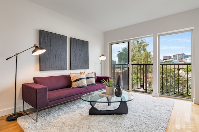 living room featuring light hardwood / wood-style floors