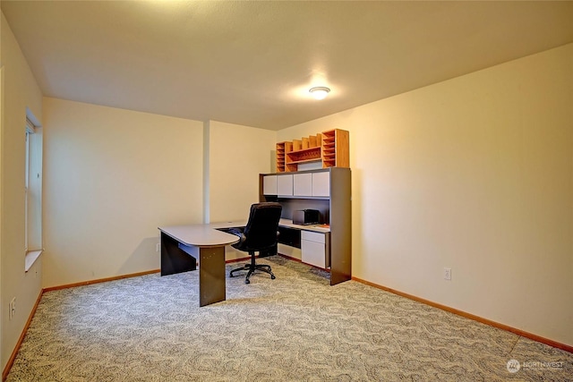 office area featuring light carpet