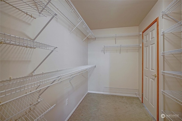 spacious closet with carpet flooring