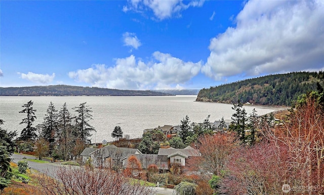 337 Moana Dr, Camano Island, WA 98282 - water view featuring a heavily wooded area