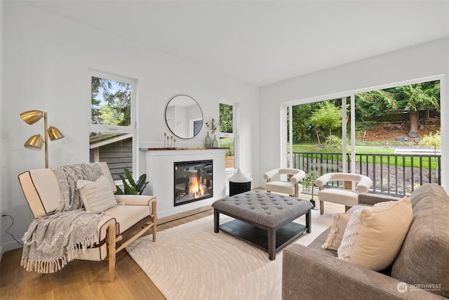 living room with hardwood / wood-style flooring