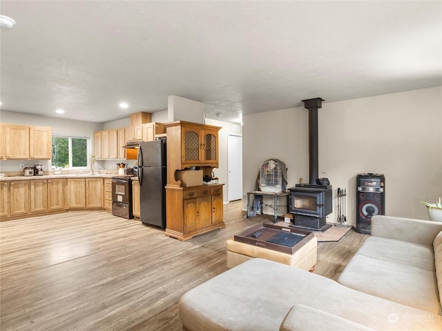 living room with a wood stove and light hardwood / wood-style flooring