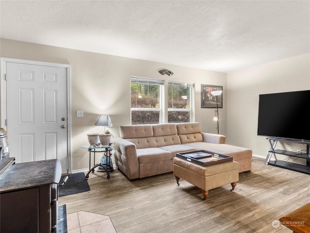 living room with light hardwood / wood-style floors