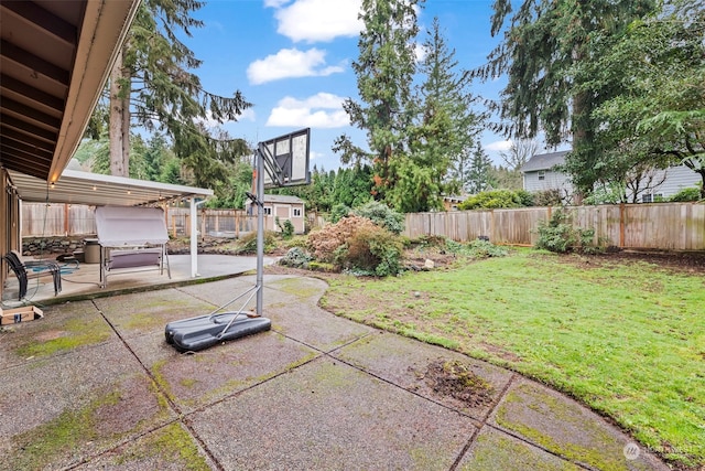 view of yard with a patio area and a storage shed