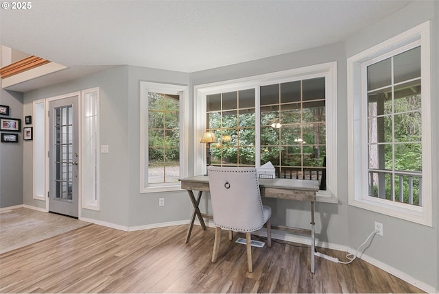 office featuring hardwood / wood-style flooring and a healthy amount of sunlight