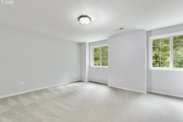 spare room with a textured ceiling, a healthy amount of sunlight, and light carpet