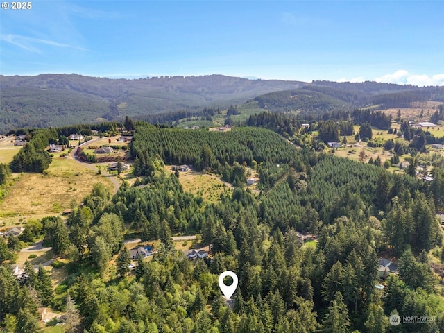 aerial view featuring a mountain view