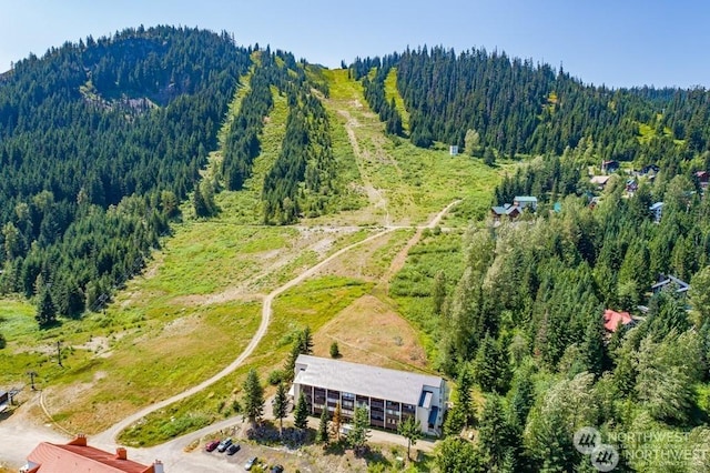 aerial view featuring a mountain view