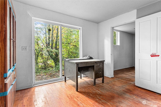 office featuring wood-type flooring