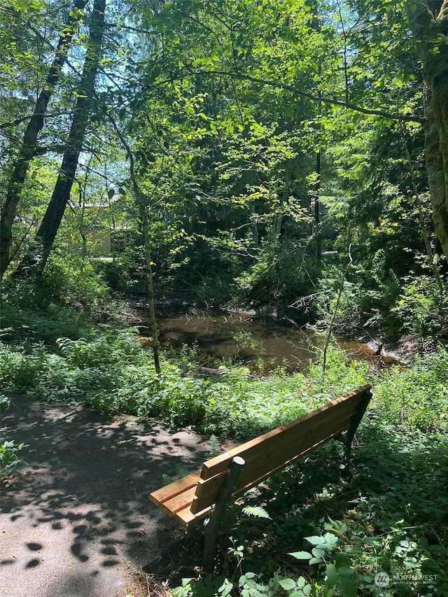 view of community with a water view