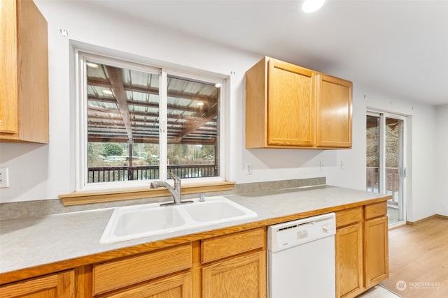 kitchen with dishwasher, light hardwood / wood-style floors, and sink