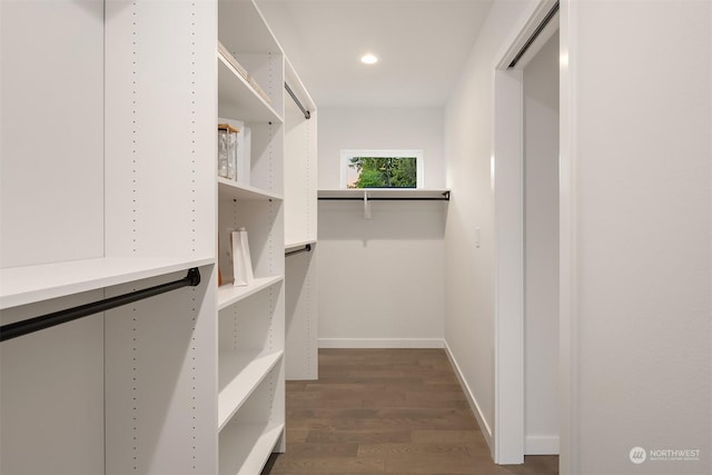 walk in closet with dark wood-type flooring