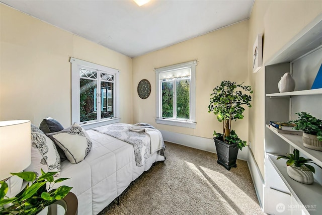 bedroom featuring carpet flooring