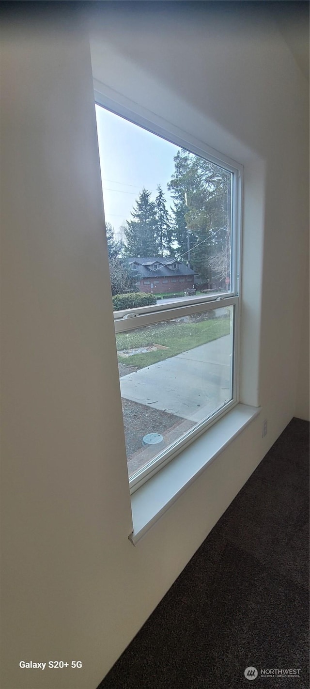 interior details with carpet flooring