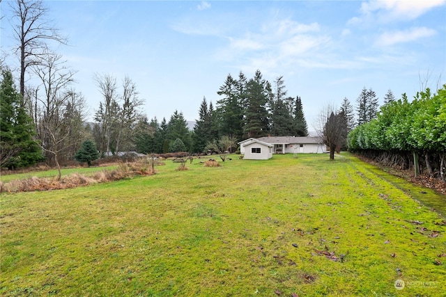 view of yard featuring a rural view