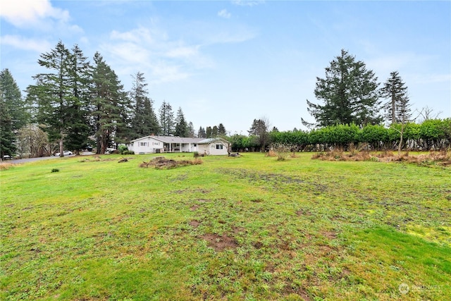 view of yard featuring a rural view