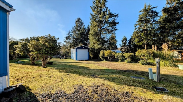 view of yard with a storage unit