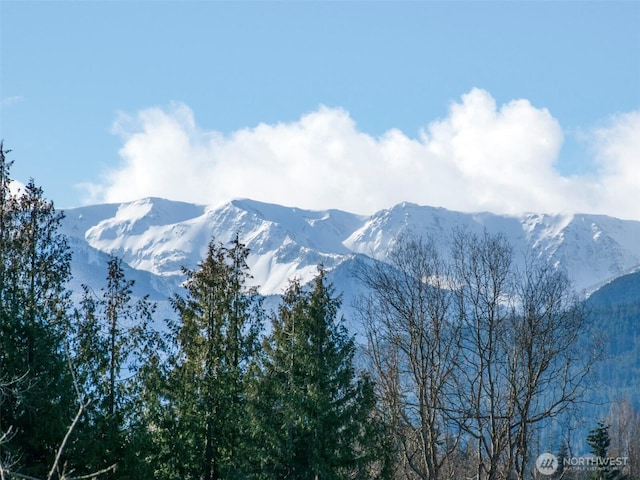 view of mountain feature