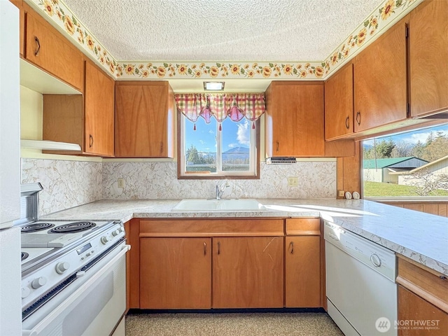 kitchen featuring white appliances, brown cabinetry, a sink, light countertops, and a textured ceiling