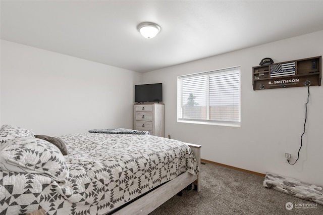 bedroom with carpet flooring