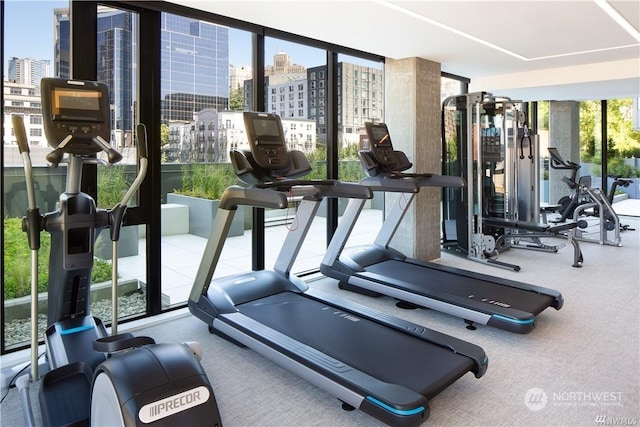 exercise room featuring carpet, a healthy amount of sunlight, and floor to ceiling windows