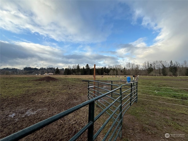 view of yard with a rural view