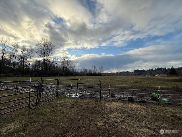 view of yard featuring a rural view