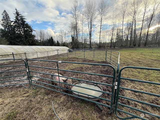 view of yard with a rural view