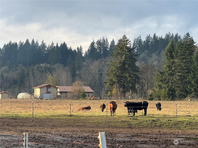 view of yard with a rural view