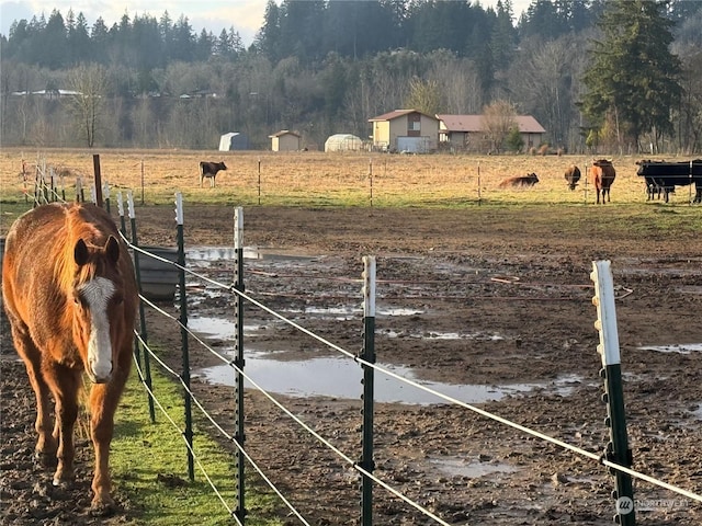 view of yard with a rural view