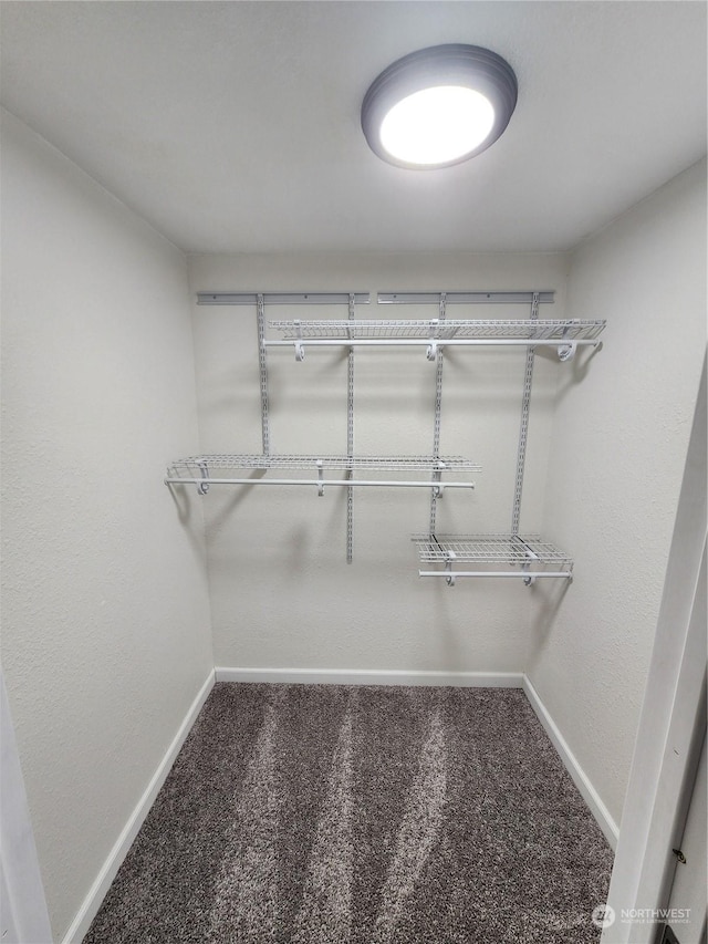 spacious closet featuring carpet floors