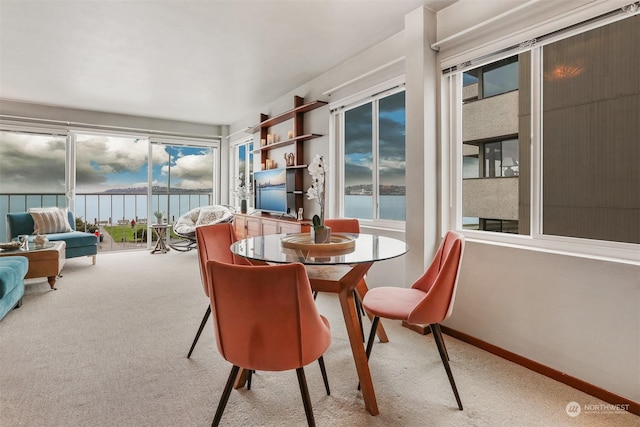 sunroom featuring a wealth of natural light