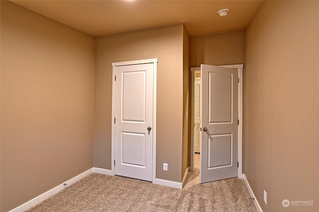 interior space with carpet floors and a closet